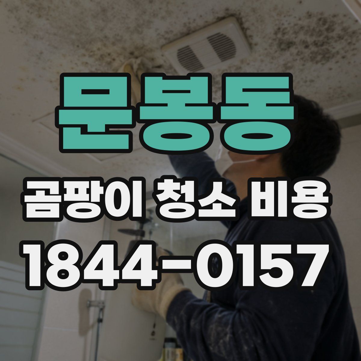 문봉동 곰팡이 청소 비용