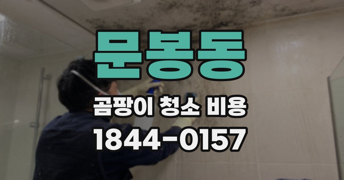 문봉동 곰팡이 청소 비용