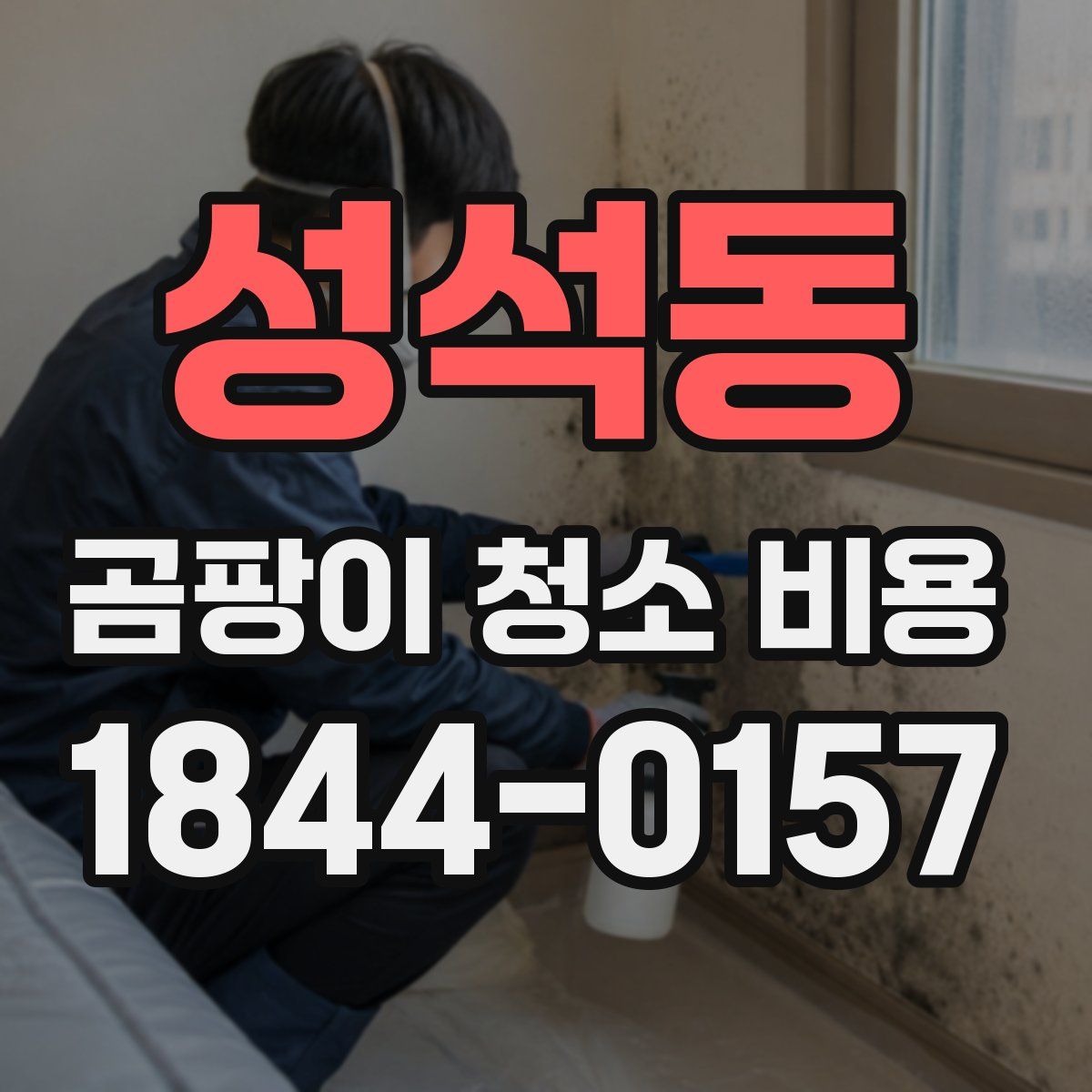 성석동 곰팡이 청소 비용