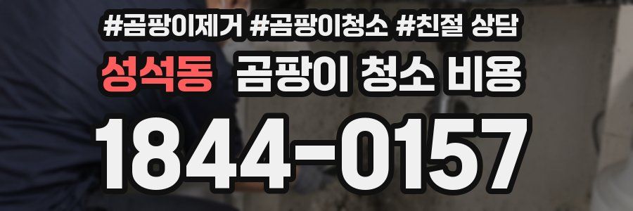 성석동 곰팡이 청소 비용