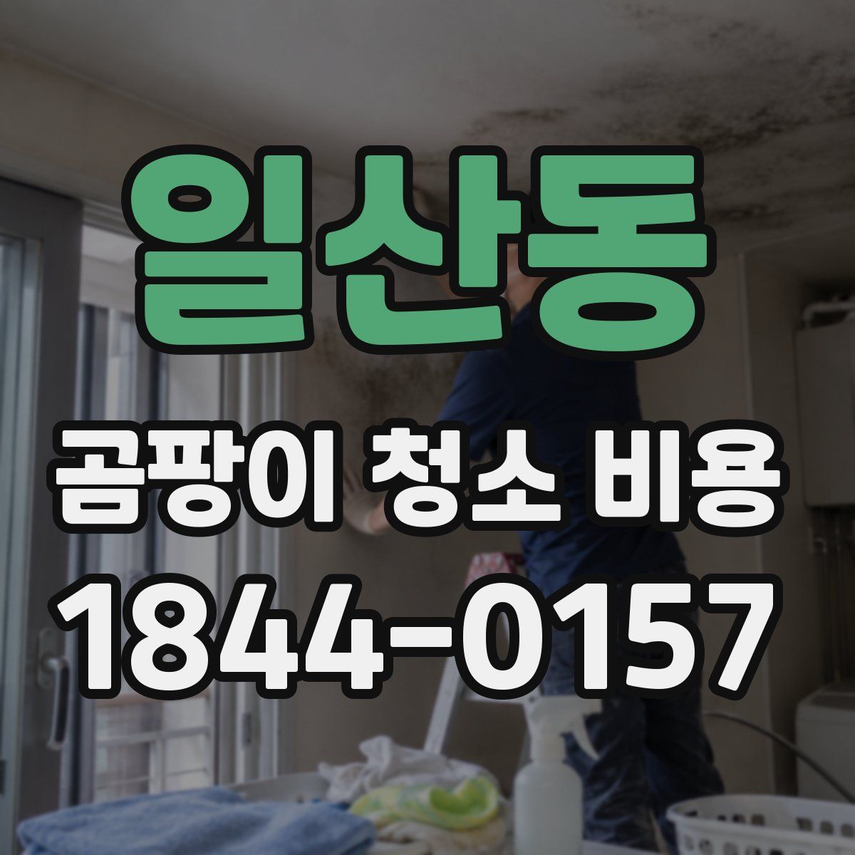 일산동 곰팡이 청소 비용