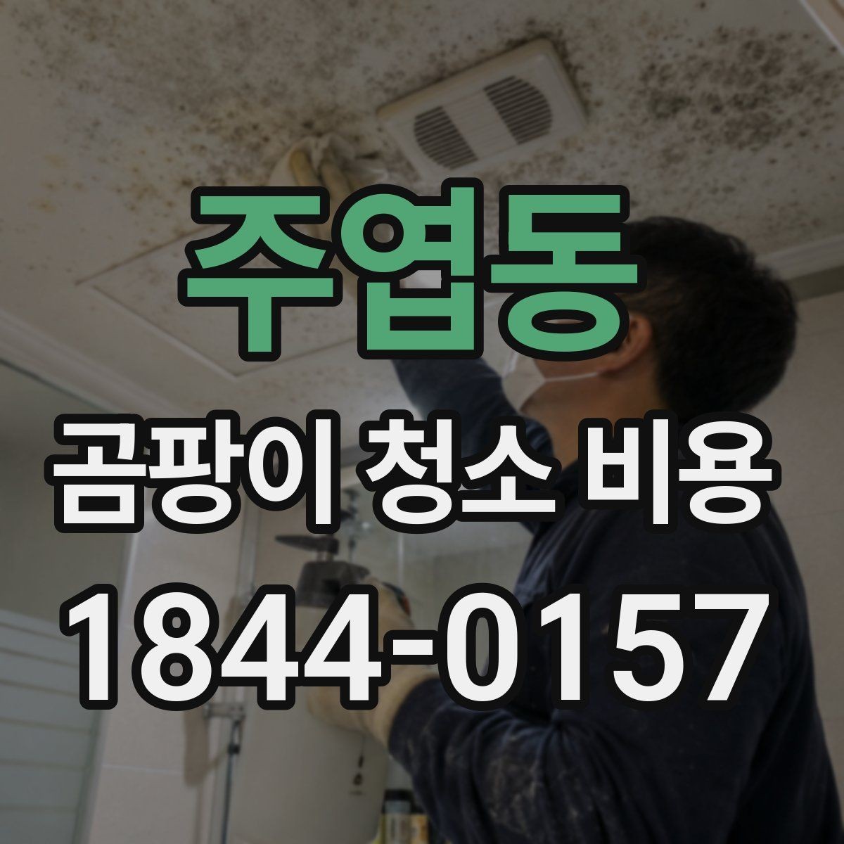 주엽동 곰팡이 청소 비용 비교 전에 알아두면 좋은 기준