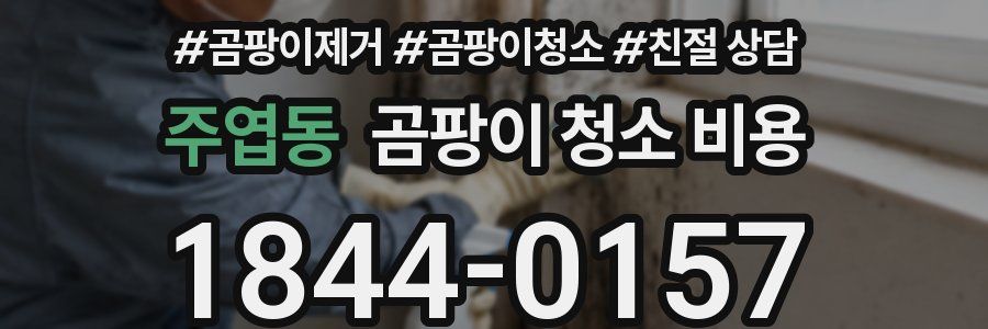 주엽동 곰팡이 청소 비용