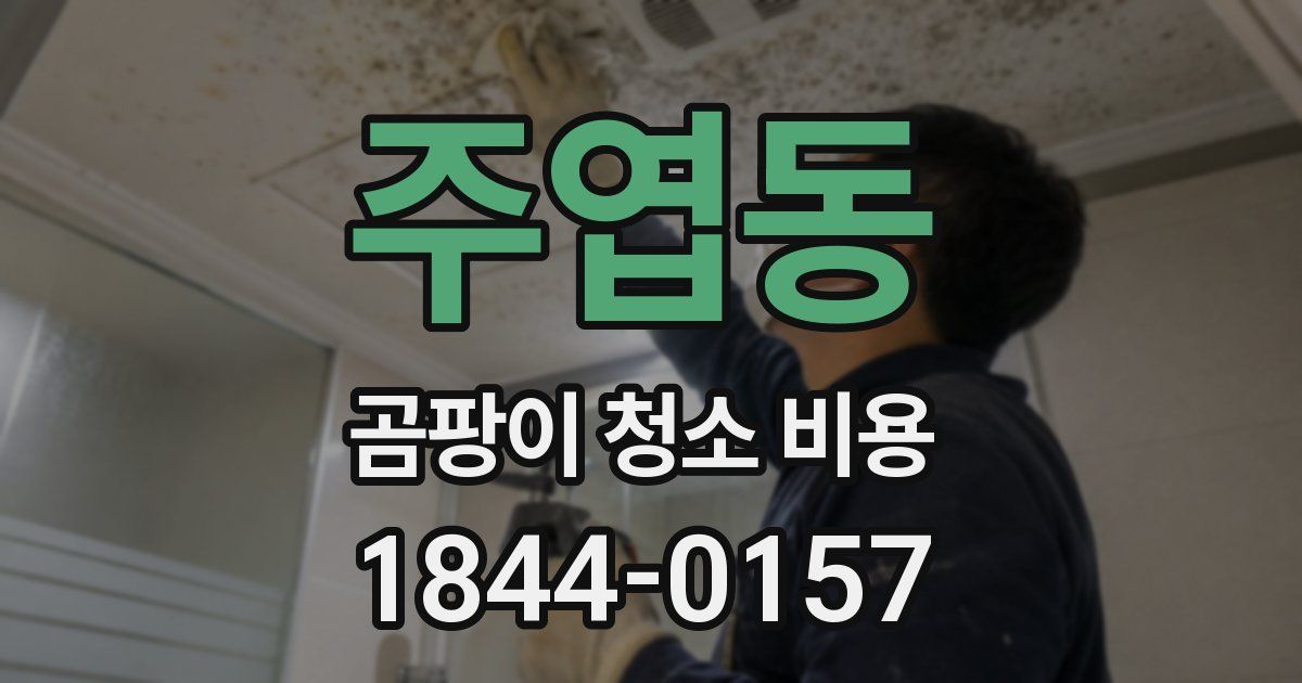 주엽동 곰팡이 청소 비용
