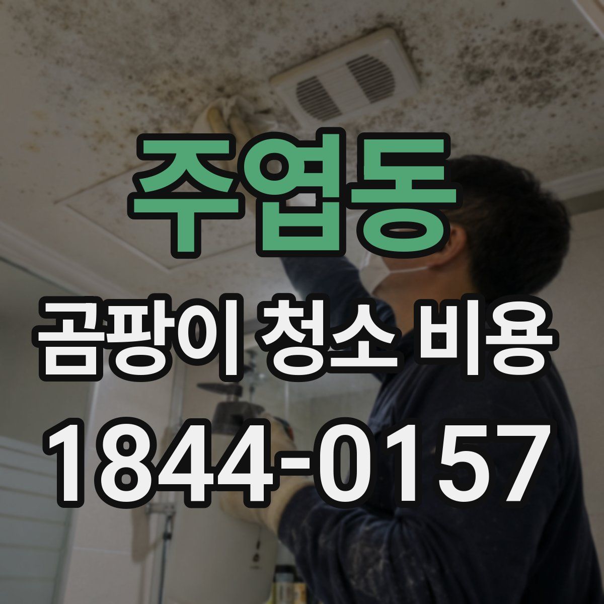 주엽동 곰팡이 청소 비용