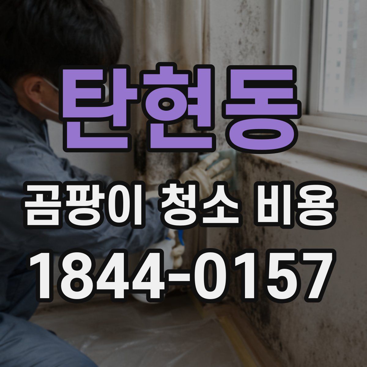 탄현동 곰팡이 청소 비용