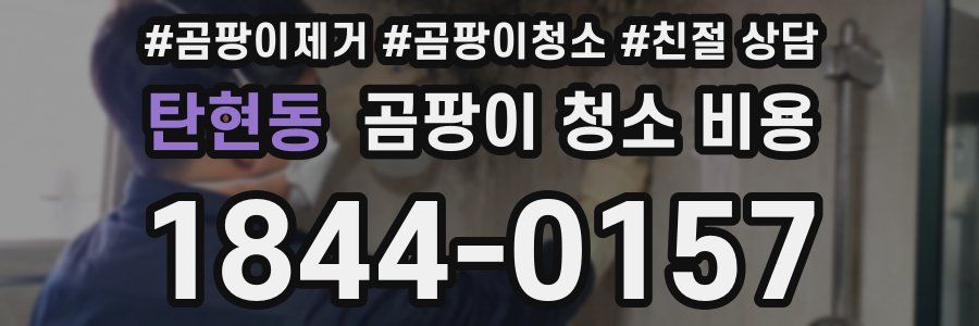 탄현동 곰팡이 청소 비용
