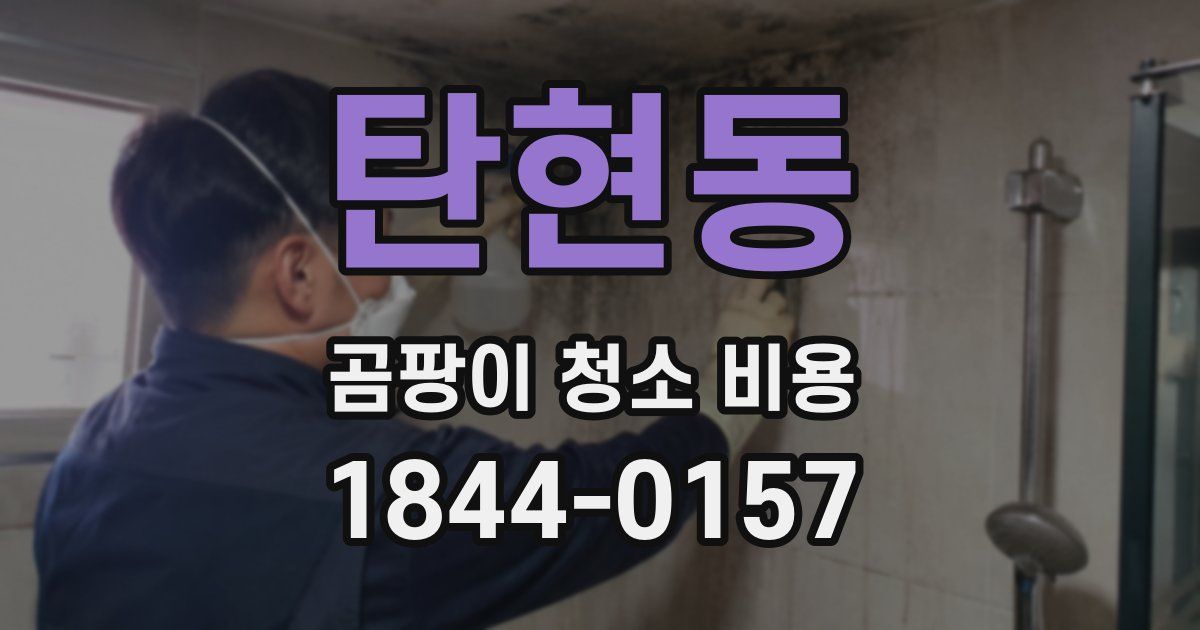 탄현동 곰팡이 청소 비용