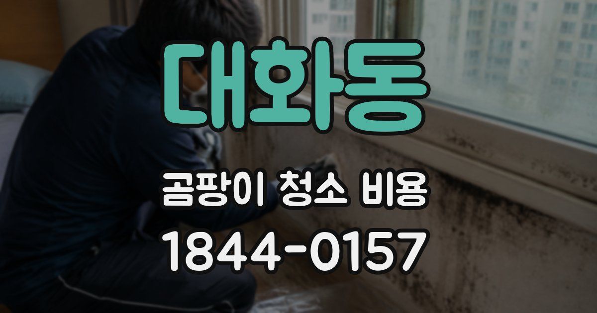 대화동 곰팡이 청소 비용