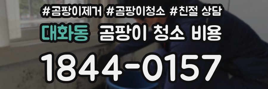 대화동 곰팡이 청소 비용