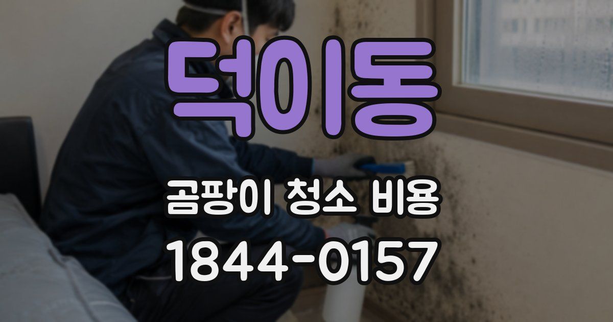 덕이동 곰팡이 청소 비용