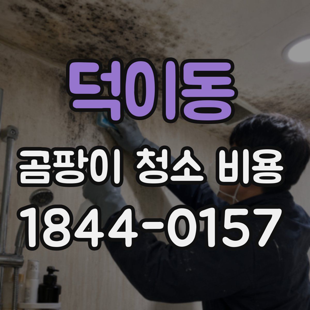 덕이동 곰팡이 청소 비용
