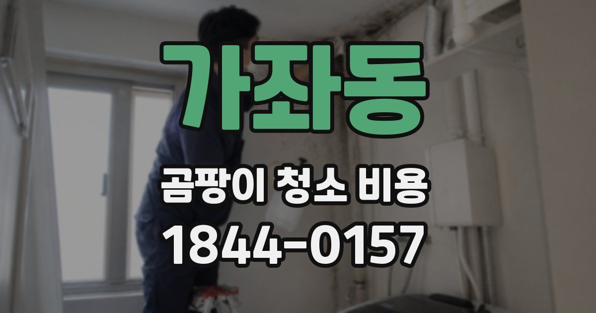 가좌동 곰팡이 청소 비용