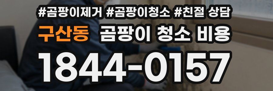 구산동 곰팡이 청소 비용
