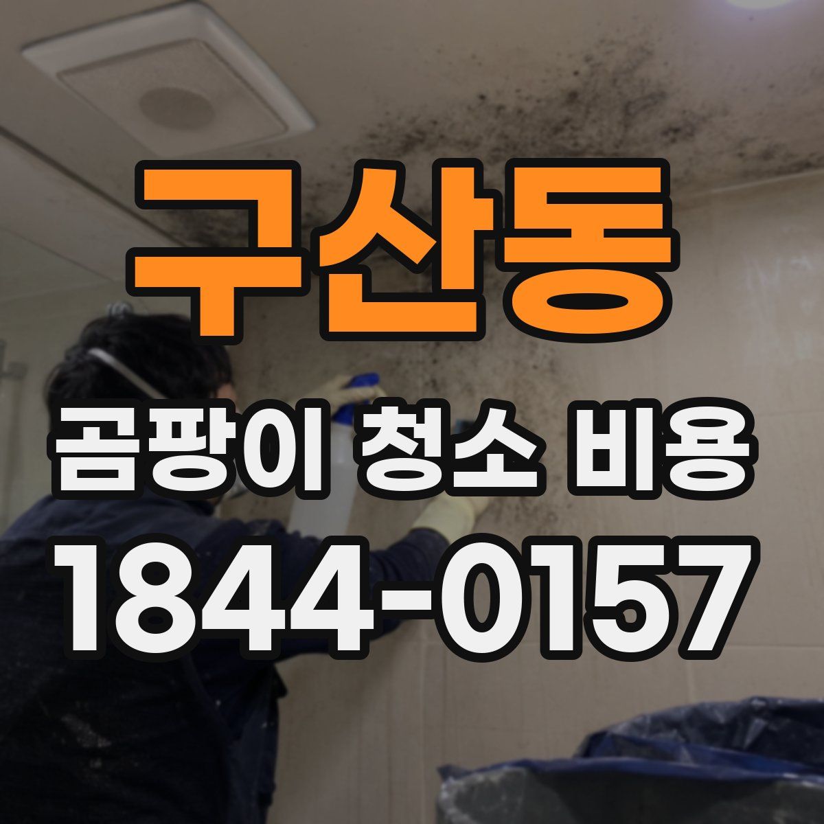 구산동 곰팡이 청소 비용