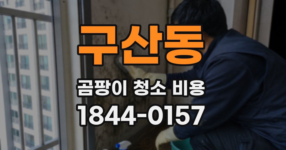 구산동 곰팡이 청소 비용