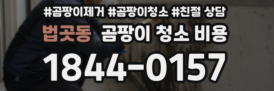 법곳동 곰팡이 청소 비용