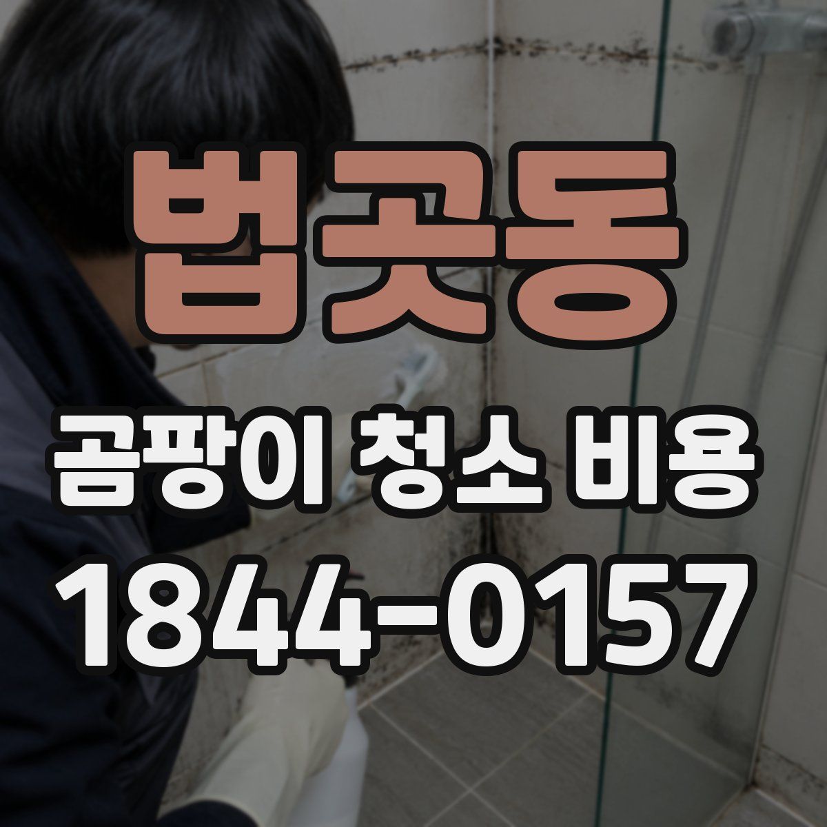 법곳동 곰팡이 청소 비용