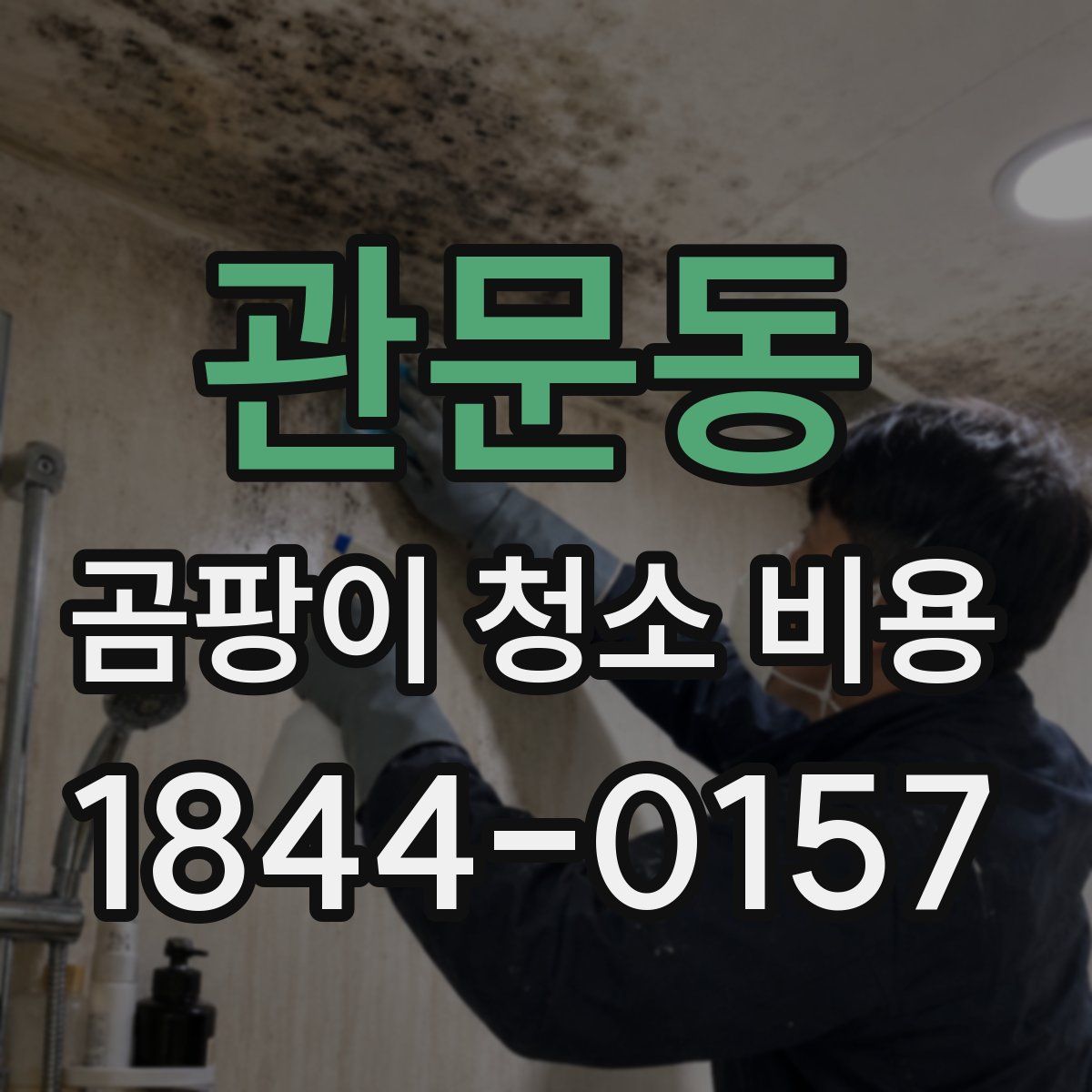 관문동 곰팡이 청소 비용