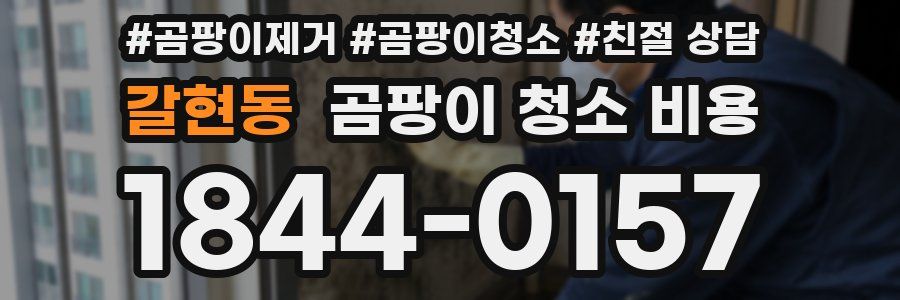 갈현동 곰팡이 청소 비용