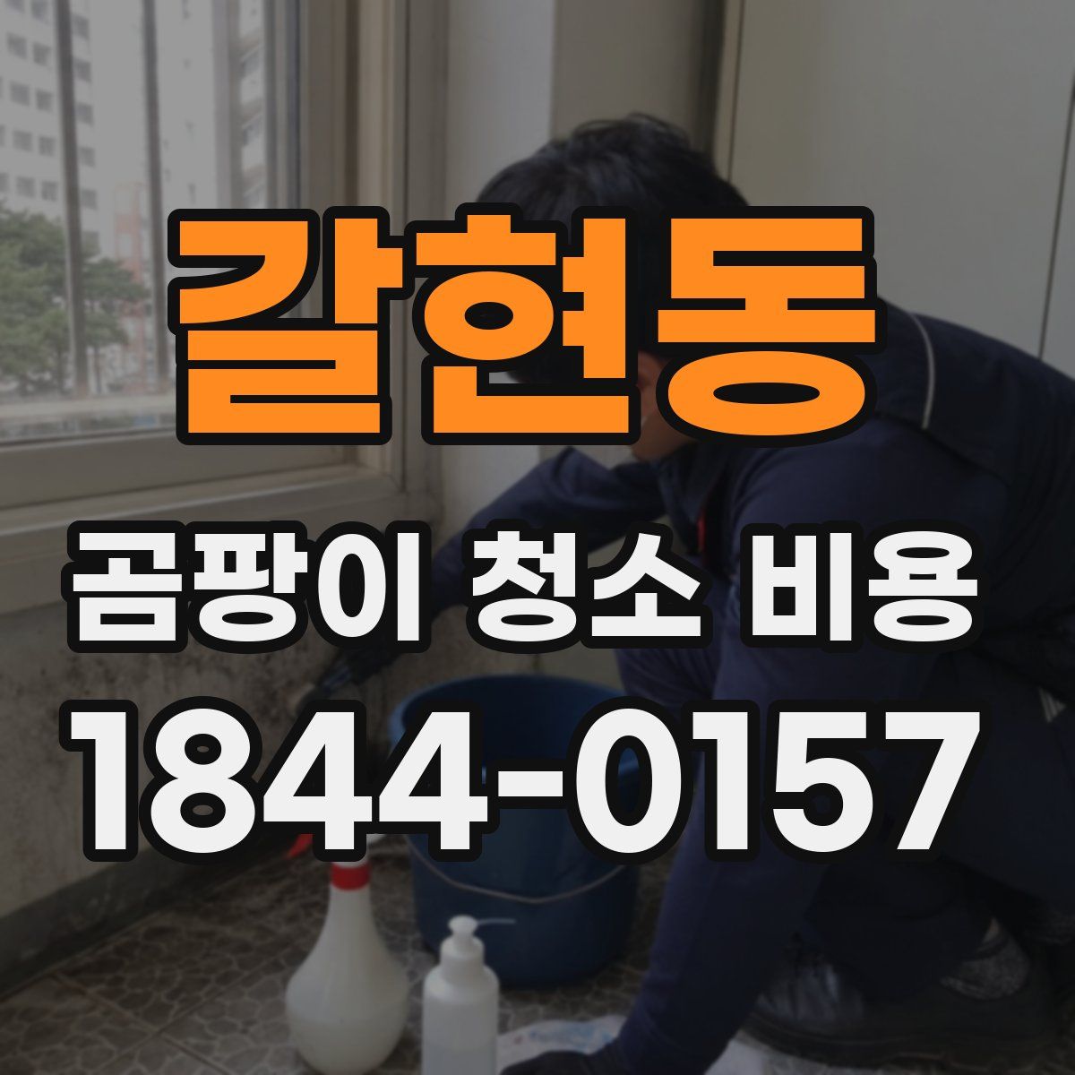 갈현동 곰팡이 청소 비용