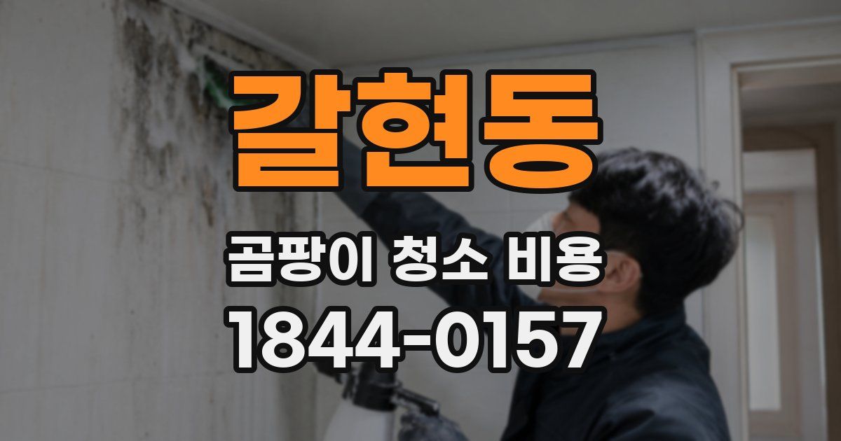 갈현동 곰팡이 청소 비용
