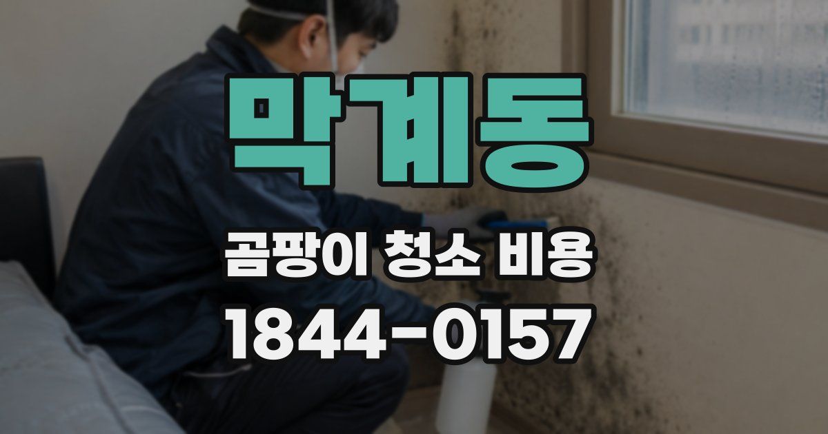 막계동 곰팡이 청소 비용