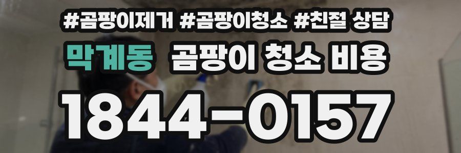 막계동 곰팡이 청소 비용
