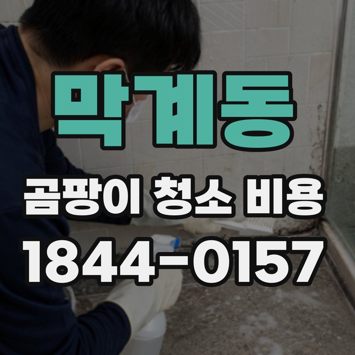막계동 곰팡이 청소 비용