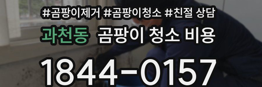 과천동 곰팡이 청소 비용