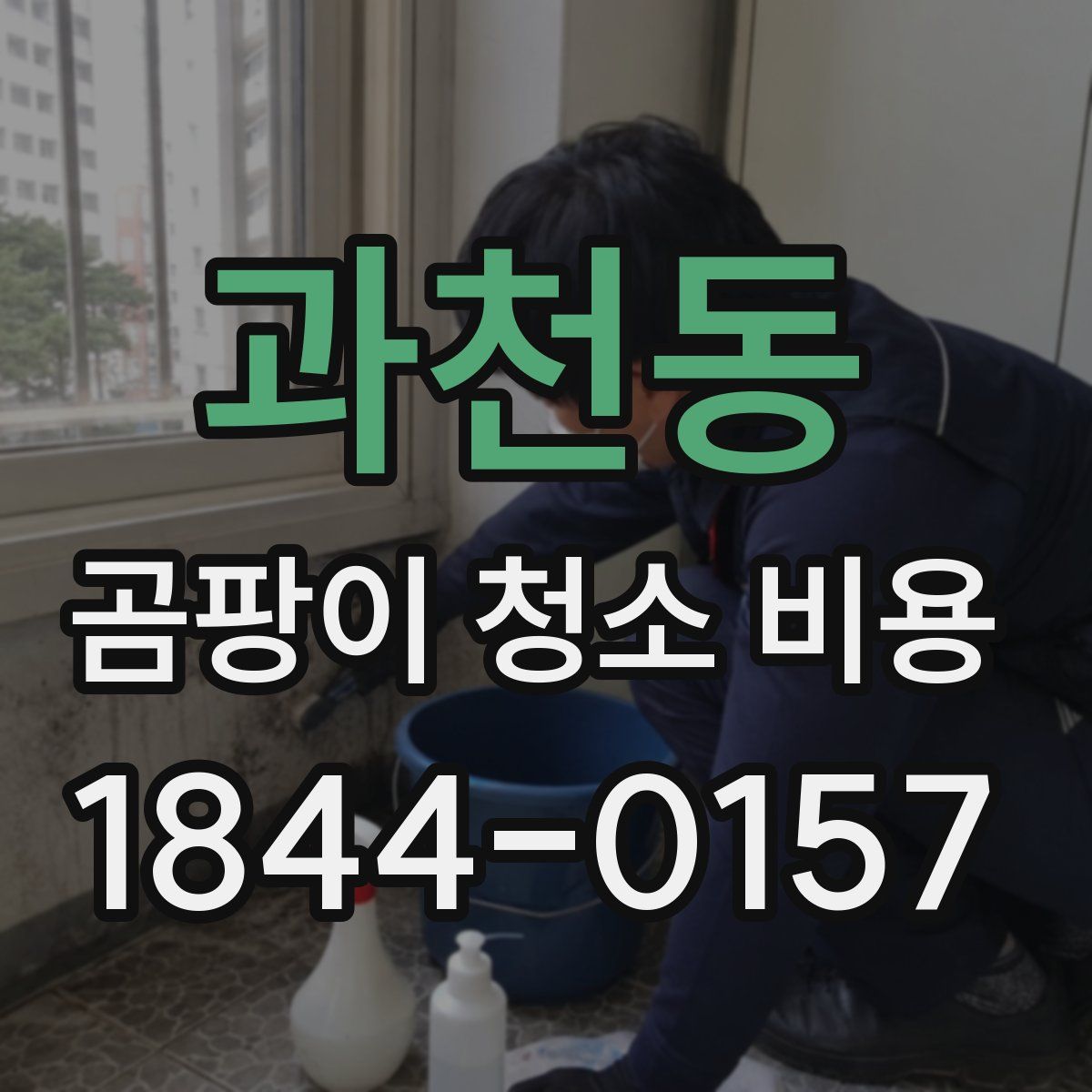 과천동 곰팡이 청소 비용