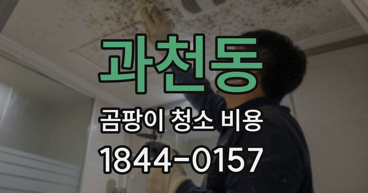 과천동 곰팡이 청소 비용