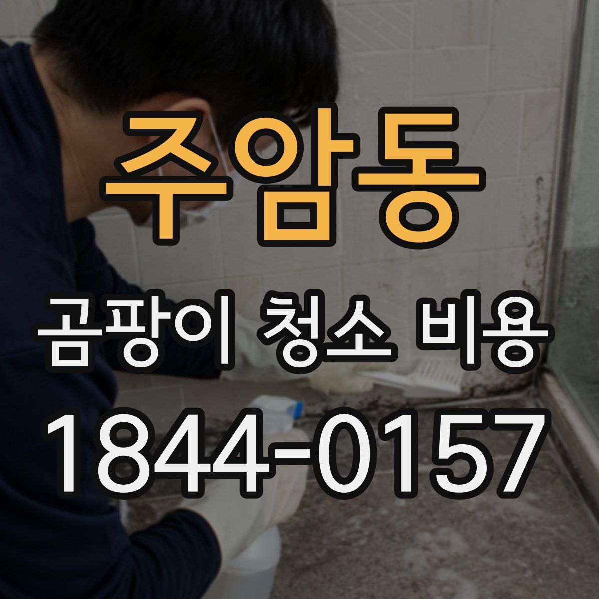 주암동 곰팡이 청소 비용