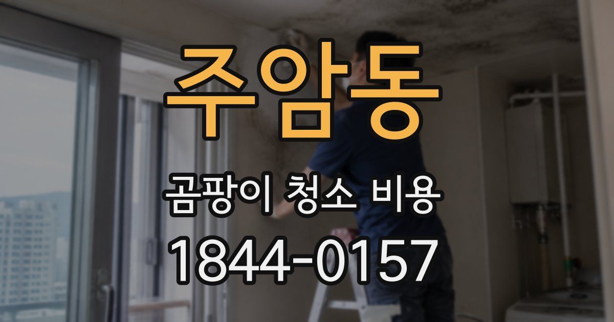주암동 곰팡이 청소 비용