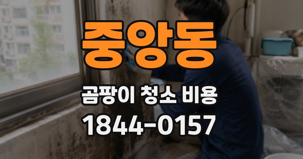 중앙동 곰팡이 청소 비용