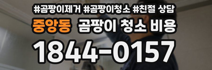 중앙동 곰팡이 청소 비용