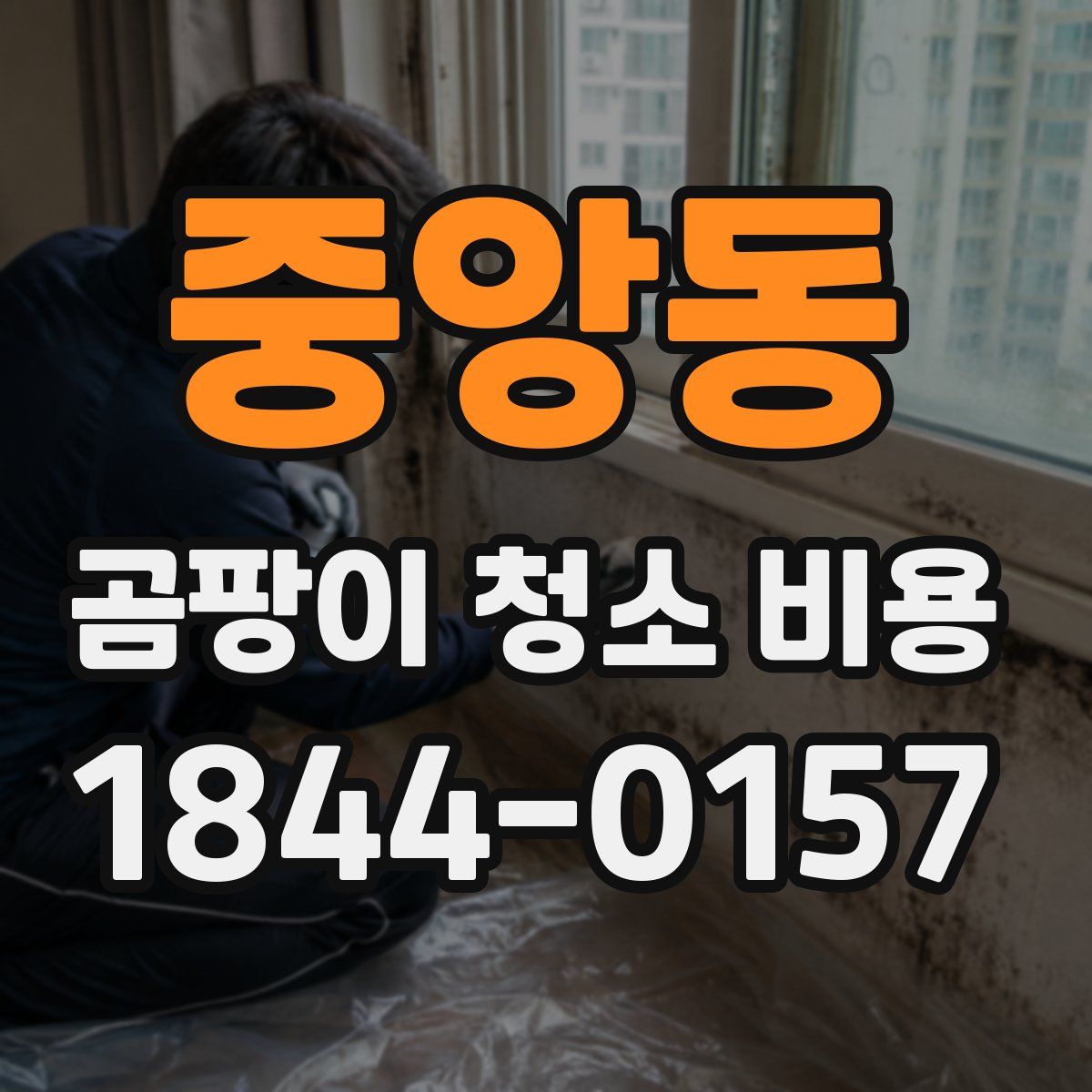 중앙동 곰팡이 청소 비용