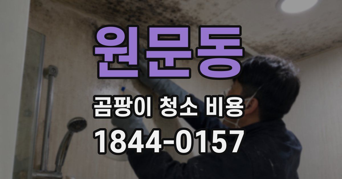 원문동 곰팡이 청소 비용