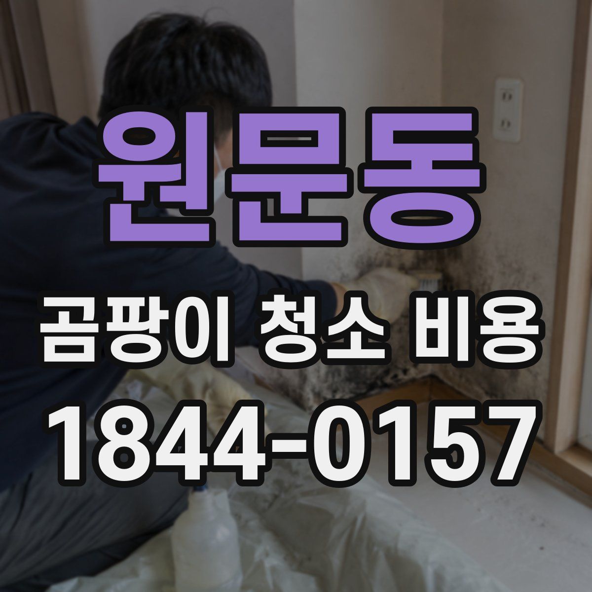 원문동 곰팡이 청소 비용