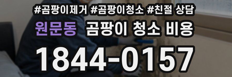 원문동 곰팡이 청소 비용