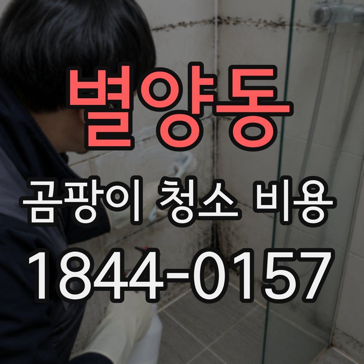 별양동 곰팡이 청소 비용 문의 시 빠지기 쉬운 항목