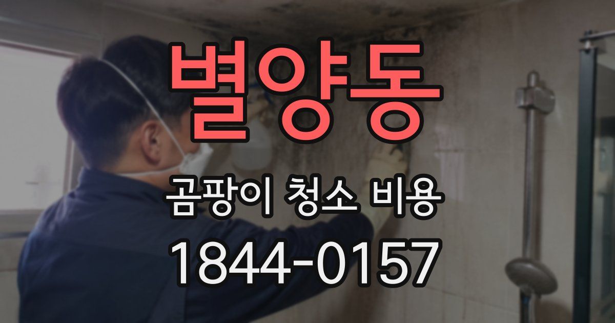 별양동 곰팡이 청소 비용