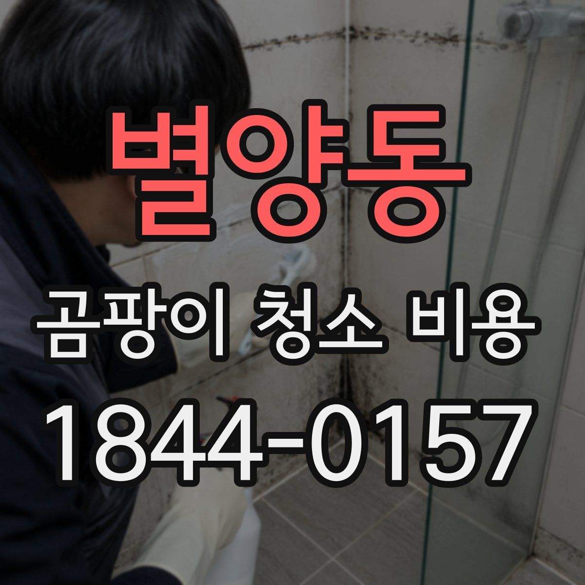 별양동 곰팡이 청소 비용