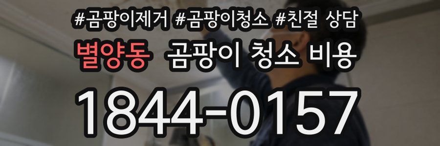 별양동 곰팡이 청소 비용