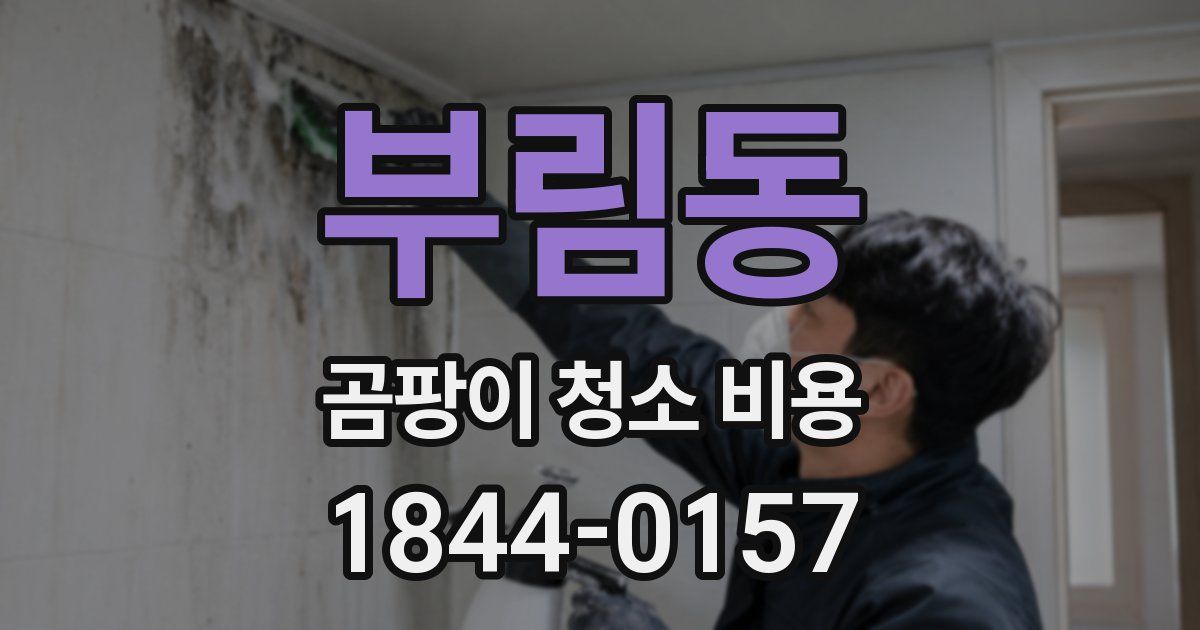 부림동 곰팡이 청소 비용