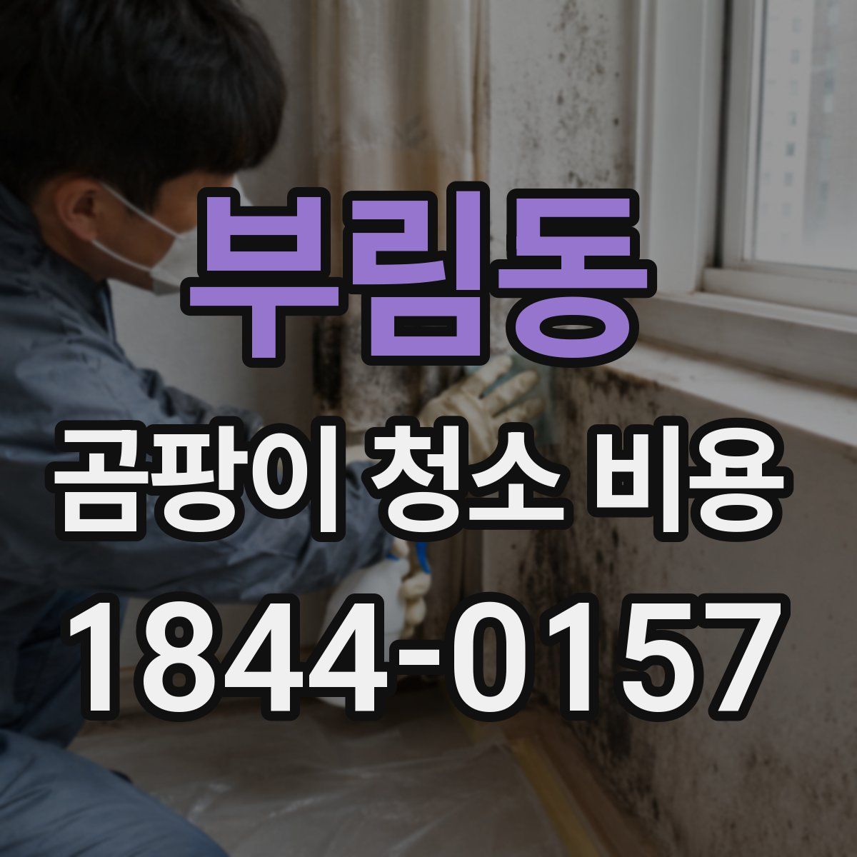 부림동 곰팡이 청소 비용