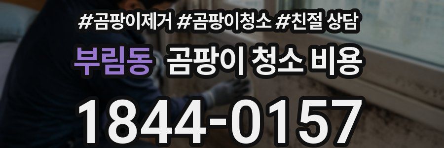 부림동 곰팡이 청소 비용