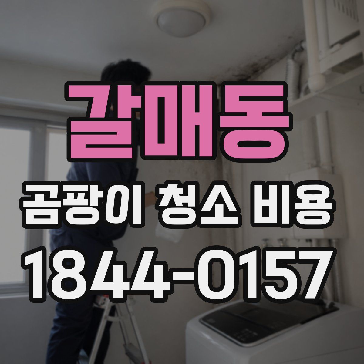 갈매동 곰팡이 청소 비용