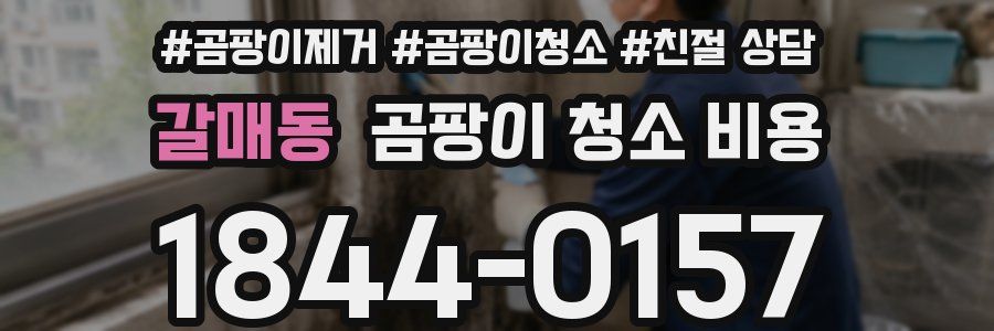 갈매동 곰팡이 청소 비용