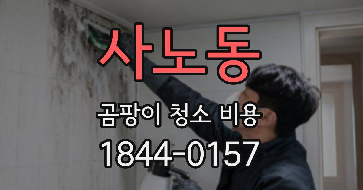사노동 곰팡이 청소 비용